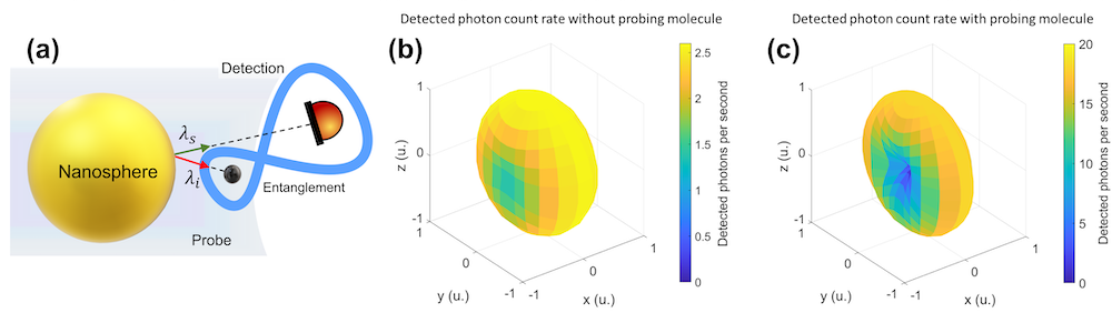 Quantum imaging with undetected photons A panel of three plots: (a) a 3d illustration of a sphere with two smaller spheres next to it, entagled by an infinity sign-shaped band. (b) a 3d surface plot showing a yellow sphere indented and sightly shaded at the horizontal axis, (c) the same sphere as in (b) but further deformed toward a toroid and shaded more intensely blue at the horizontal axis.